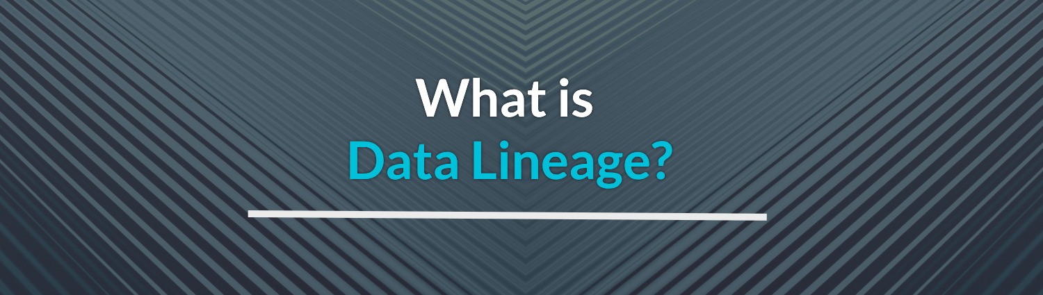 what is data lineage